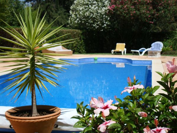 Cost of Pool Terrace Renovation in San Luis Obispo
