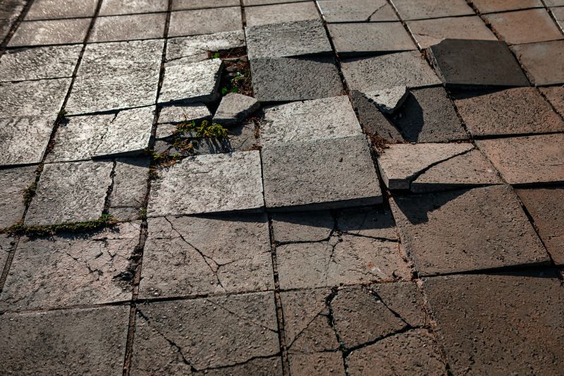 Fall Paver Repairs